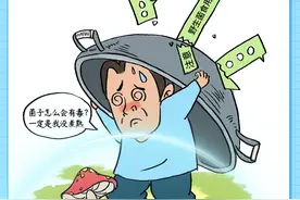 漫画新闻 | 云南人为了吃菌子有多拼图片