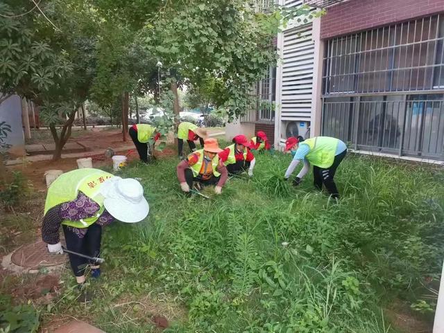 东湖新技术开辟区豹澥街分类专班黄金堂社区开展清洁家园活动