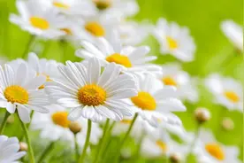 当一个人，想要离开你的时候，不要问为什么图片