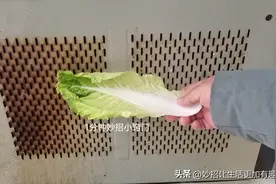清洗油烟机，不用卸不用拆，利用一片白菜叶，也能清洗干净图片