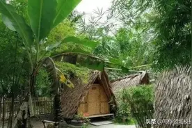 世界上最奇葩的“懒族”：认为生命在于静止，网友笑称找到了组织图片