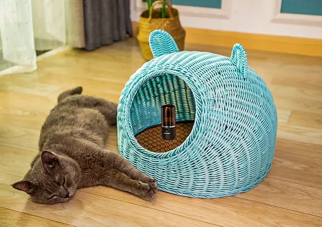 厦门通士达:文化传承,影像创新 | 摄影拉力赛图赏