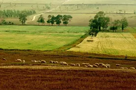 农村土地“三十年不变”是有条件的，这三类人将会被出局图片