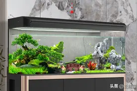 海鲜水族箱安装标准规范图片