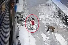 3岁女孩险被泼猴拖走，村民：已不是第一次，原因可能是什么？图片