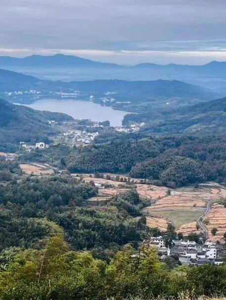 黄山奇遇记：冬观候鸟，野探短尾猴，一场徒步自然的探索之行