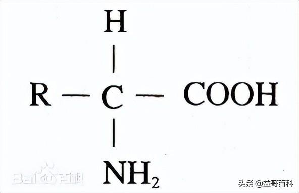 在地外首次发现生命的存在？氨基酸的发现意味着什么？
