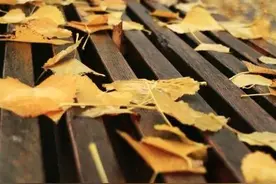 散文：爱生活，爱自己，把生活过出诗意图片