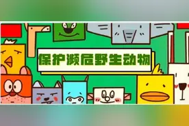 非法收购出售6389颗大白鲨牙齿 严惩！图片