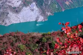 教你一招丨叮~您有一份室内运动指南待查收！图片