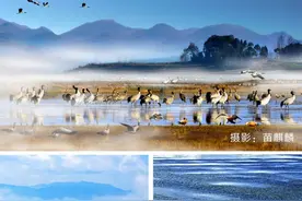 众里寻他千百度 威宁夏天18度图片