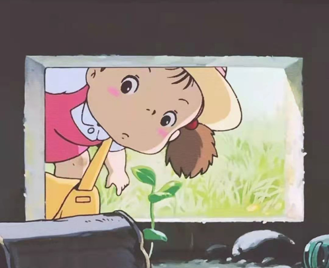 太阳伞能当雨伞用吗（拿雨伞当剑，超酷的好吗）