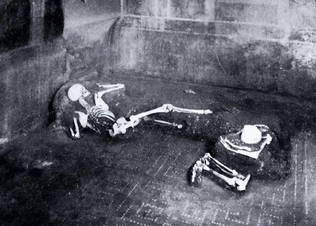 科学家首次对维苏威火山喷发受害者的基因组进行了完整测序