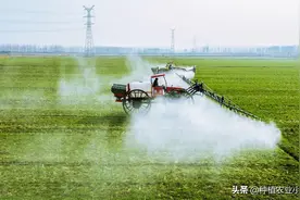 过期的农药还能继续使用呢？图片