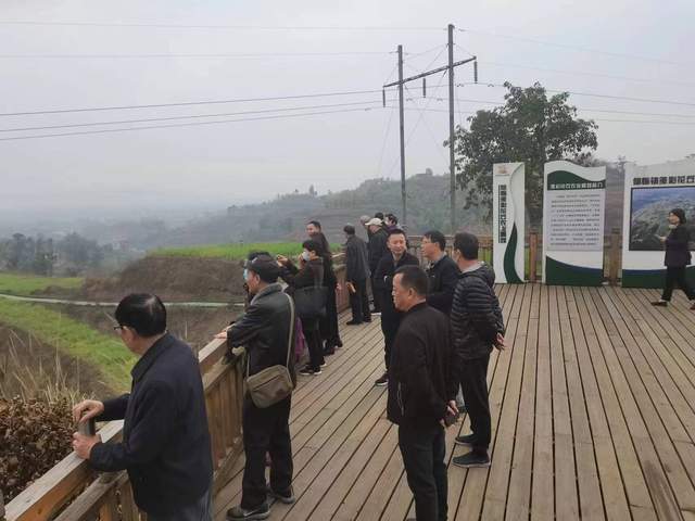 四川省民生研究会新媒体中心-官网