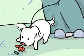 世界破破烂烂，小狗缝缝补补图片