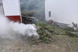 烧火粪的危害有多大？为什么盛行几千年的刀耕火种今天被全盘否定图片