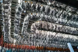 一次很涨见识的探厂：亚洲超大规模皮厂Prime Asia图片