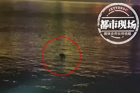 男子夜间坠海，漂在海面上不时呼救：我不想死我想活图片