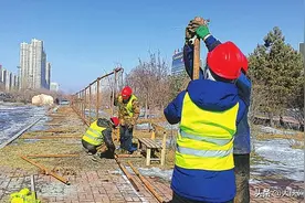 大庆市旅游服务中心外环境改造即将开工图片