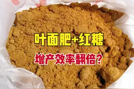 磷酸二氢钾加红糖，增产效率翻倍？2点原因，红糖到底能加吗？图片