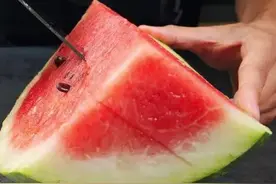 你敢听真话吗？带你看清人性图片