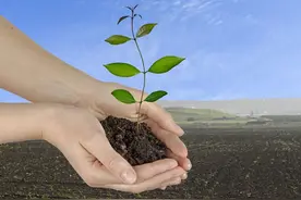 土壤发硬板结怎么办？我每年都用这个唯一方法，效果好还长久图片