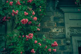 女人熟睡后，不自觉的几个“动作”，那说明爱你入骨，装不出来。图片