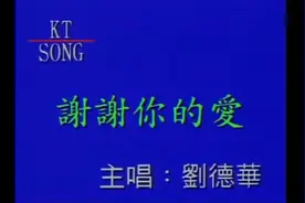 刘德华《谢谢你的爱》图片