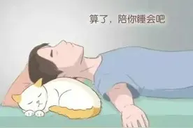 猫咪在临终前，会做什么？它会舍不得自己的主人吗？图片
