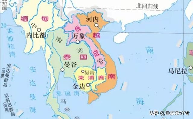 智利特产花胶 智利特产花胶怎么样
