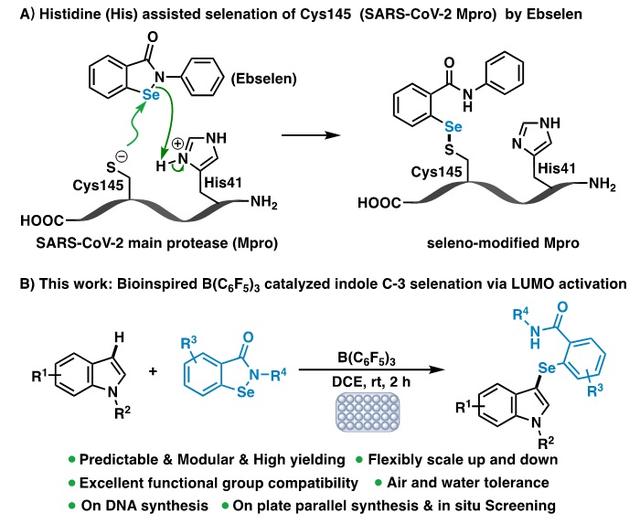 点击硒化——模块化构建含硒化合物库