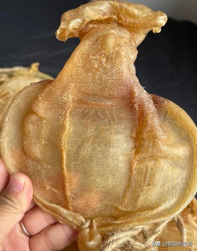 花胶 澳洲 2026年澳洲花胶液有什么好处 花胶 澳洲 2026年澳洲花胶液有什么好处