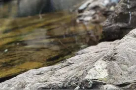 打架只要造成轻伤以上就很麻烦，所以要做好这几步！图片