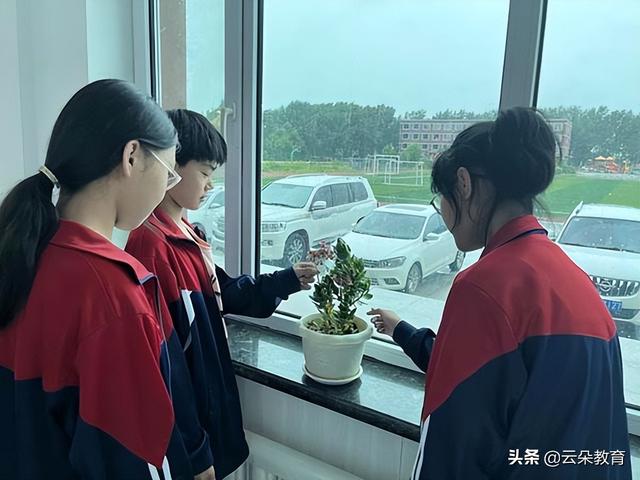 落实“双减”政策 优化生物作业