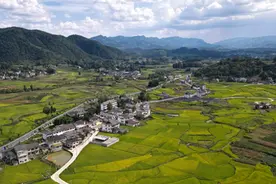 乡村振兴 用“美”作答 | 贵州湄潭“三美五示范”打造最美乡村纪实图片