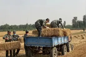肖思远父母为啥偷偷收麦子？真相是……图片