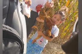 女孩返城执意带鸡回家，宝妈拒绝后解释：忘了给鸡做核酸图片