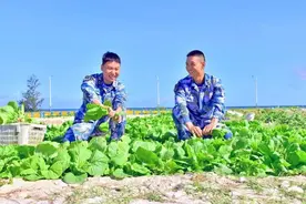 中国人为什么爱种菜？这是刻在DNA里的种族天赋图片