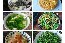 虾皮最经典的6种吃法，做法简单，好吃又营养，老人小孩常吃补钙图片