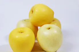 微信群里热销的威海金苹果是什么来头?图片