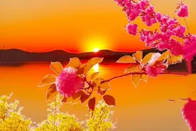 人来人往，我只要你，有你便是一辈子的晴天图片