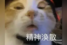 表情包 如果时间可以倒流就好了图片