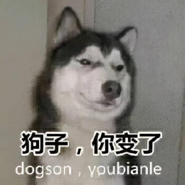 如何让淘宝号升3心（支付宝更新一键开启海王模式）