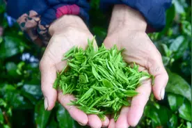 绿茶放了两年还能喝吗？应该冷藏保存，还是冷冻？看完你就明白了图片