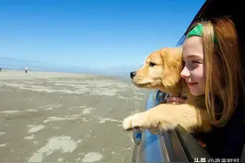 最适合在自驾游途中听的十首歌，你听过几首？快点来打卡！！图片