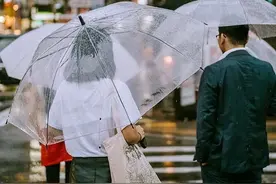 最普通的一把伞，为何却最受欢迎？图片