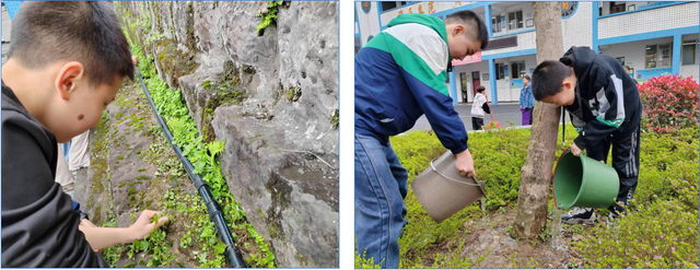 四川省民生研究会新媒体中心-官网