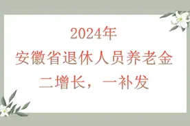 安徽省退休人员养老金，两增长，一补发，补发6个月还是7个月?图片