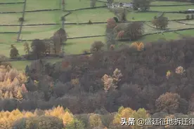 退林还耕是否有补偿？补偿的标准是什么？图片
